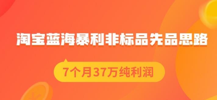 盗坤淘宝蓝海暴利非标品先品思路，7个月37万纯利润，压箱干货分享！【付费文章】-创易盟